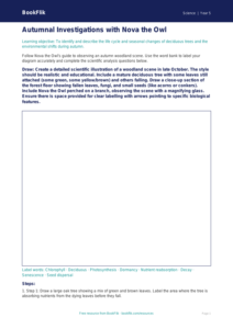 Free Autumn Science Drawing Sheet | Year 5 Greater Depth | BookFlik
