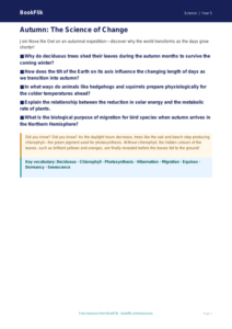 Free Autumn Science Poster | Year 5 Greater Depth | BookFlik