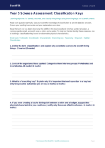 Free Classification Keys Assessment | Year 5 Greater Depth | BookFlik