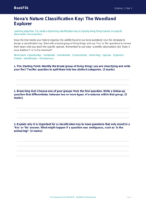 Free Classification Keys Template | Year 5 Greater Depth | BookFlik