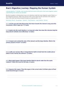 Free Digestion Activity Sheet | Year 5 Greater Depth | BookFlik