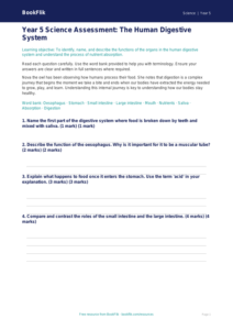Free Digestion Assessment | Year 5 Greater Depth | BookFlik