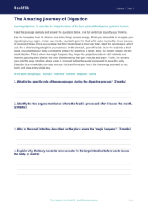 Free Digestion Comprehension | Year 5 Greater Depth | BookFlik