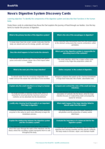 Free Digestion Flashcards | Year 5 Greater Depth | BookFlik