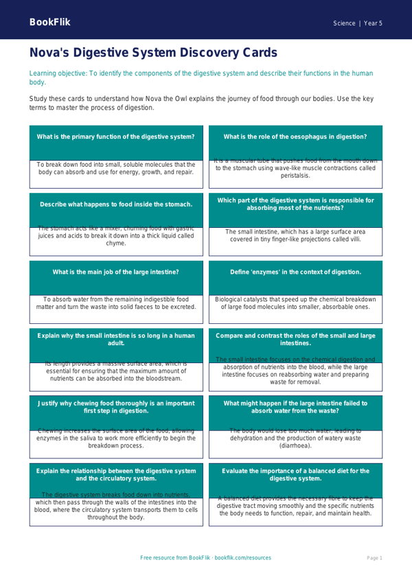 Free Digestion Flashcards | Year 5 Greater Depth | BookFlik worksheet preview — Science Digestion