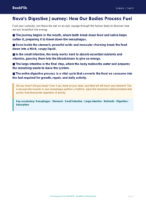 Free Digestion Poster | Year 5 Greater Depth | BookFlik