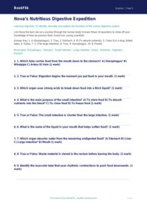 Free Digestion Quiz | Year 5 Greater Depth | BookFlik