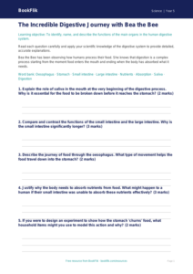 Free Digestion Worksheet | Year 5 Greater Depth | BookFlik