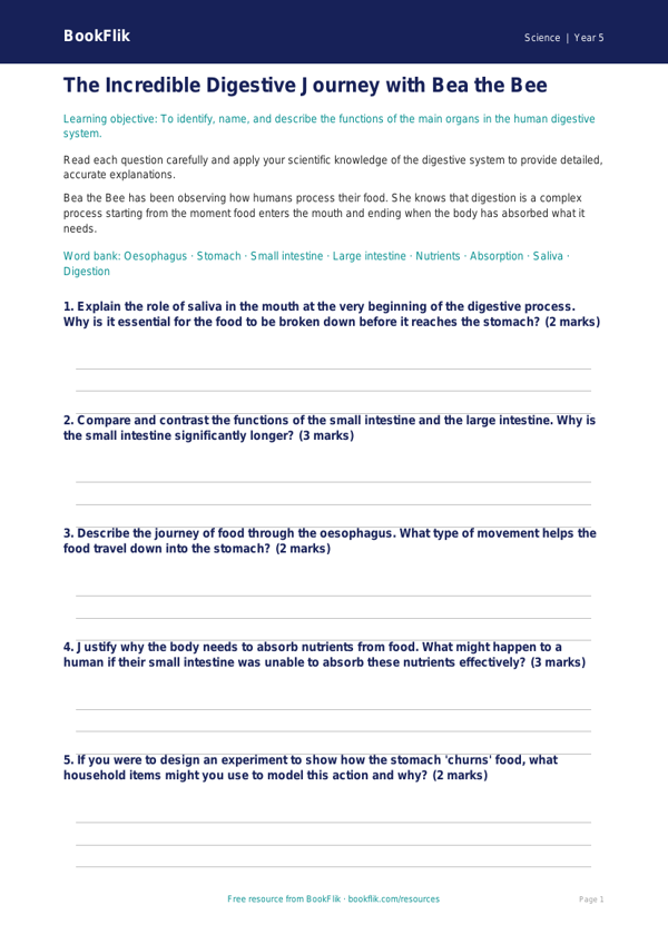 Free Digestion Worksheet | Year 5 Greater Depth | BookFlik worksheet preview — Science Digestion