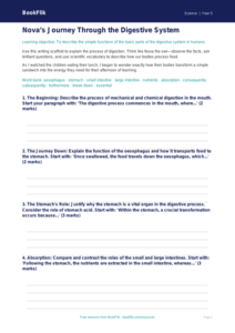 Free Digestion Writing Frame | Year 5 Greater Depth | BookFlik