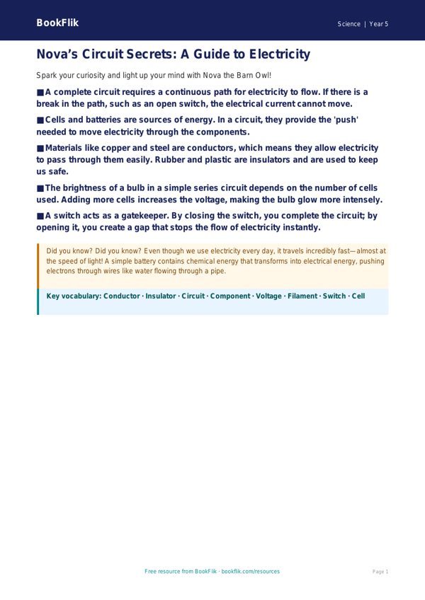 Free Electricity Poster | Year 5 Greater Depth | BookFlik worksheet preview — Science Electricity