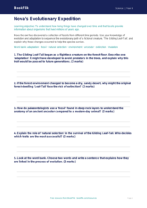 Free Evolution Activity Sheet | Year 6 Core | BookFlik