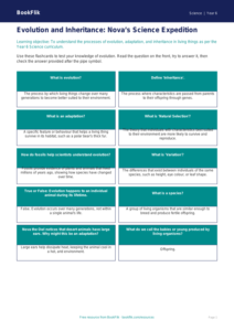Free Evolution Flashcards | Year 6 Core | BookFlik