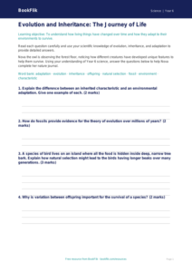 Free Evolution Worksheet | Year 6 Core | BookFlik
