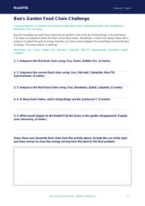 Free Food Chains Activity Sheet | Year 3 Science | BookFlik