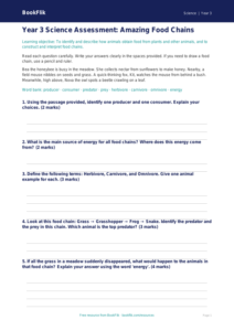 Free Food Chains Assessment | Year 3 Core | BookFlik