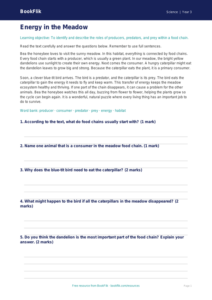 Free Food Chains Comprehension | Year 3 Core | BookFlik