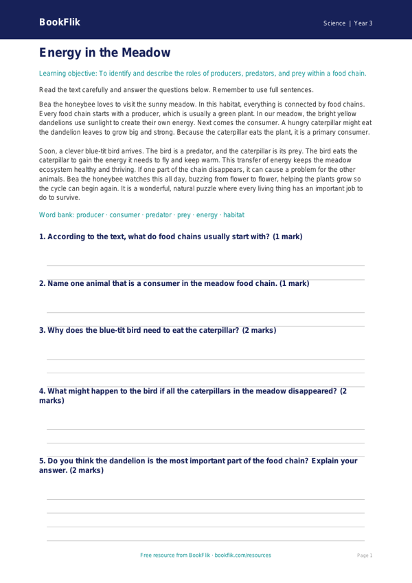 Free Food Chains Comprehension | Year 3 Core | BookFlik worksheet preview — Science Food Chains