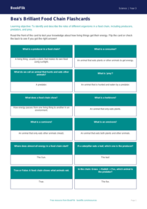 Free Food Chains Flashcards | Year 3 Science | BookFlik