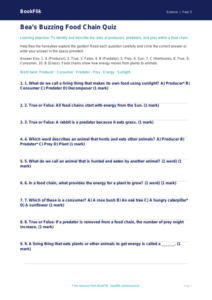 Free Food Chains Quiz | Year 3 Core | BookFlik