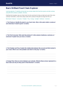 Free Food Chains Template | Year 3 Core | BookFlik