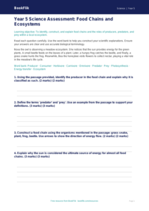 Free Food Chains Assessment | Year 5 Greater Depth | BookFlik
