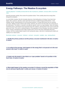 Free Food Chains Comprehension | Year 5 Greater Depth | BookFlik