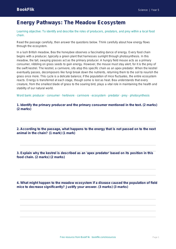 Free Food Chains Comprehension | Year 5 Greater Depth | BookFlik worksheet preview — Science Food Chains
