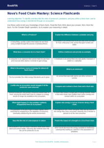 Free Food Chains Flashcards | Year 5 Greater Depth | BookFlik
