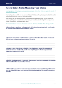 Free Food Chains Worksheet | Year 5 Greater Depth | BookFlik