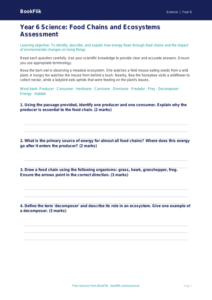 Free Food Chains Assessment | Year 6 Core | BookFlik