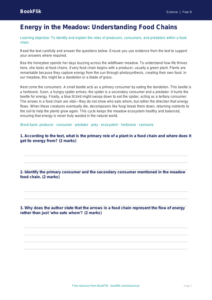Free Food Chains Comprehension | Year 6 Science | BookFlik