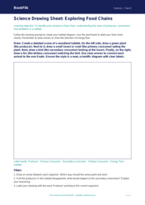 Free Food Chains Drawing Sheet | Year 6 Core | BookFlik