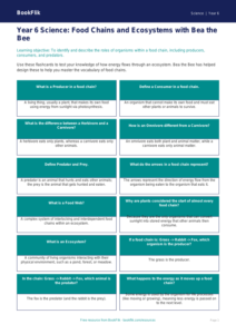 Free Food Chains Flashcards | Year 6 Core | BookFlik