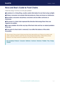 Free Food Chains Poster | Year 6 Core | BookFlik