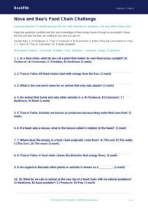 Free Food Chains Quiz | Year 6 Core | BookFlik