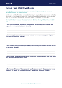 Free Food Chains Template | Year 6 Core | BookFlik
