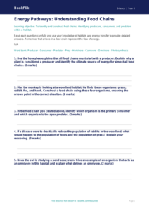 Free Food Chains Worksheet | Year 6 Science | BookFlik