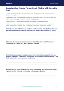 Free Food Chains Writing Frame | Year 6 Science | BookFlik