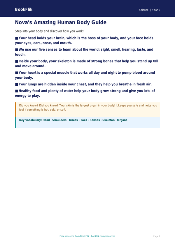 Free Human Body Poster | Year 1 Core | BookFlik worksheet preview — Science Human Body
