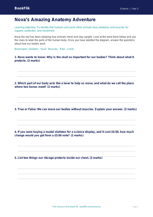 Free Human Body Activity Sheet | Year 3 Core | BookFlik worksheet preview — Science Human Body