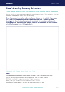 Free Human Body Drawing Sheet | Year 3 Core | BookFlik