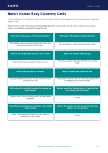 Free Human Body Flashcards | Year 3 Core | BookFlik