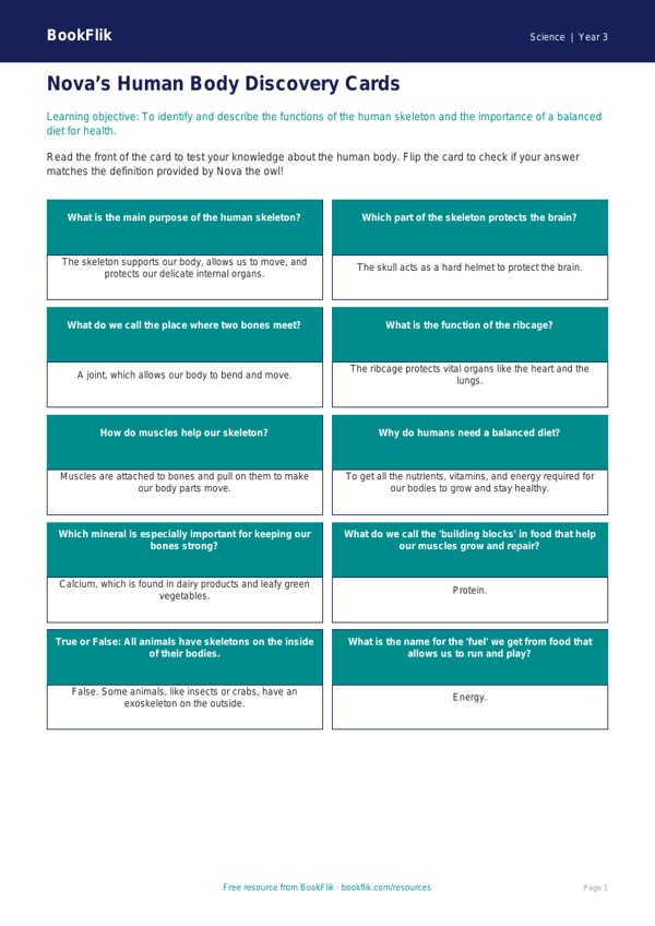 Free Human Body Flashcards | Year 3 Core | BookFlik worksheet preview — Science Human Body