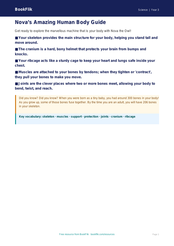 Free Human Body Poster | Year 3 Core | BookFlik worksheet preview — Science Human Body
