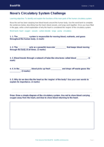 Free Human Body Activity Sheet | Year 6 Core | BookFlik