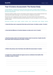 Free Human Body Assessment | Year 6 Core | BookFlik