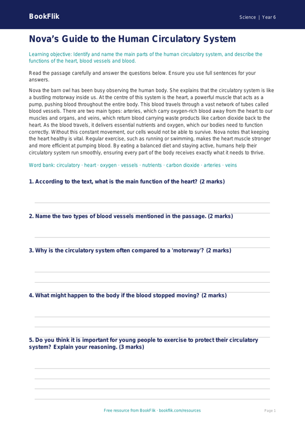 Free Human Body Comprehension | Year 6 Core | BookFlik worksheet preview — Science Human Body