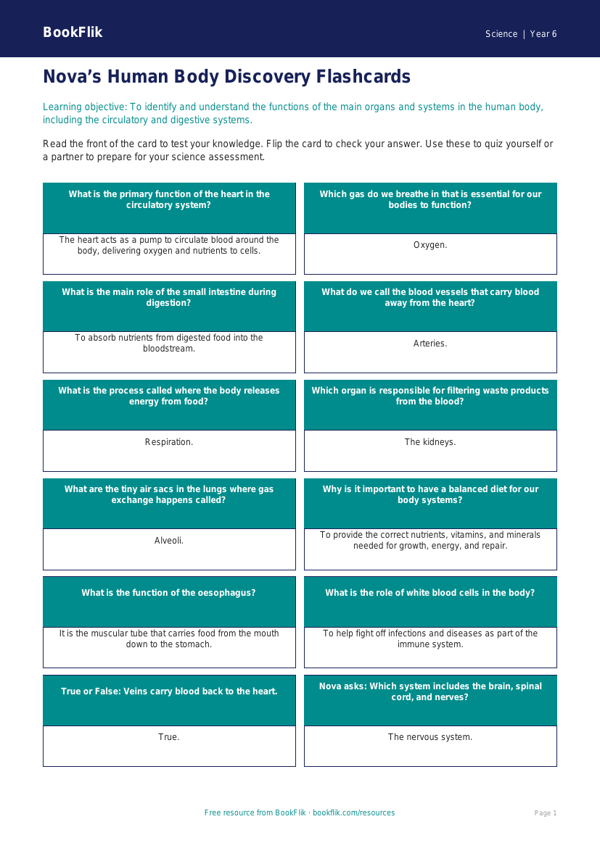 Free Human Body Flashcards | Year 6 Core | BookFlik worksheet preview — Science Human Body