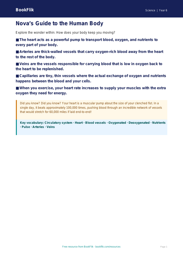 Free Human Body Poster | Year 6 Core | BookFlik worksheet preview — Science Human Body